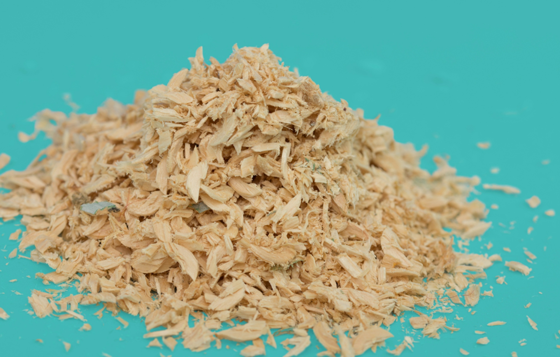 small pile of sawdust on a blue background