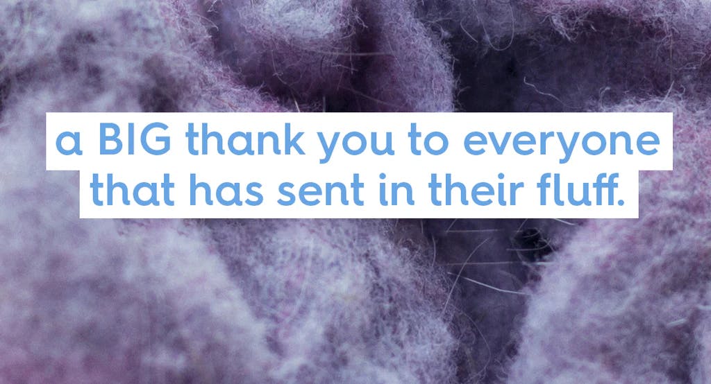 text: a big thank you to everyone that has sent in their fluff