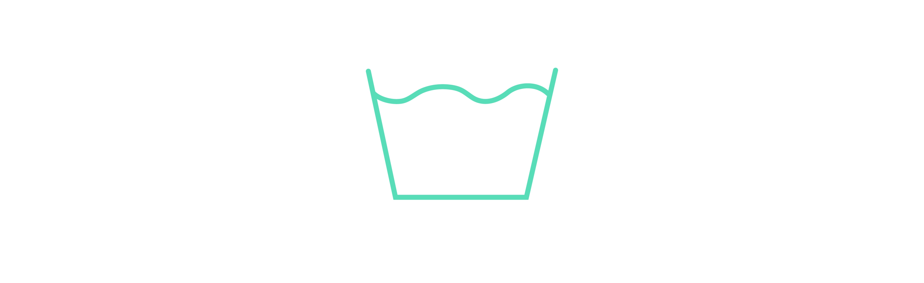 washing icon