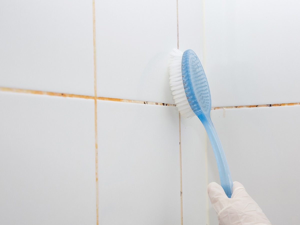 brosse à récurer bleue et blanche frottant le carrelage blanc aux rainures sales et jaunâtre d'une salle de bain.