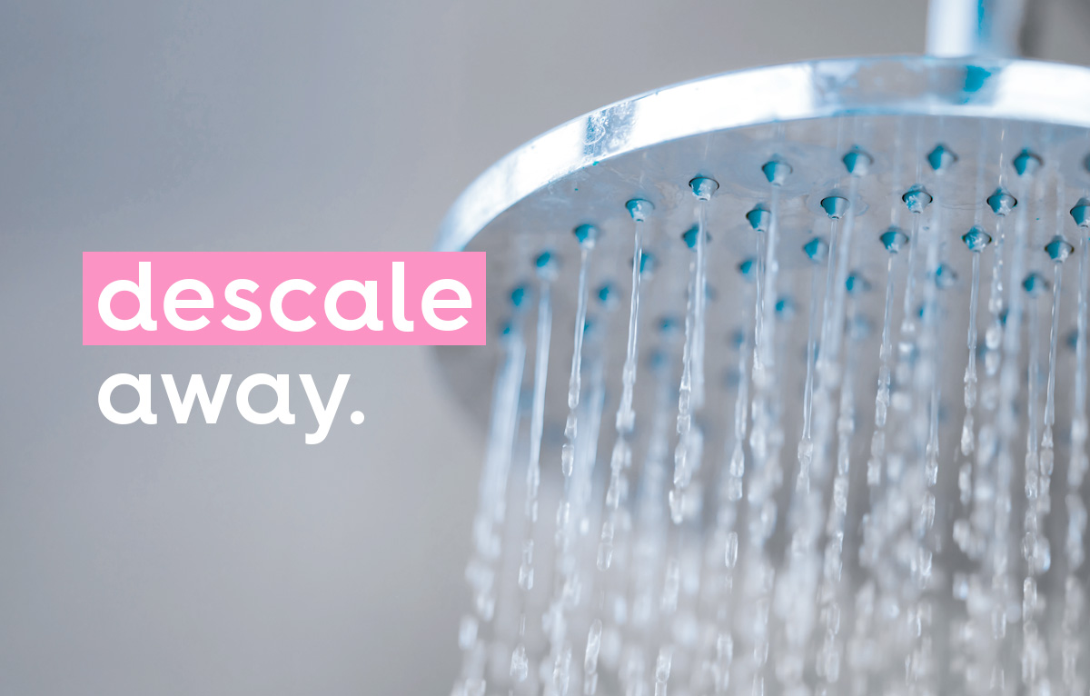 How To Clean & Descale Your Shower Head in 3 Easy Steps