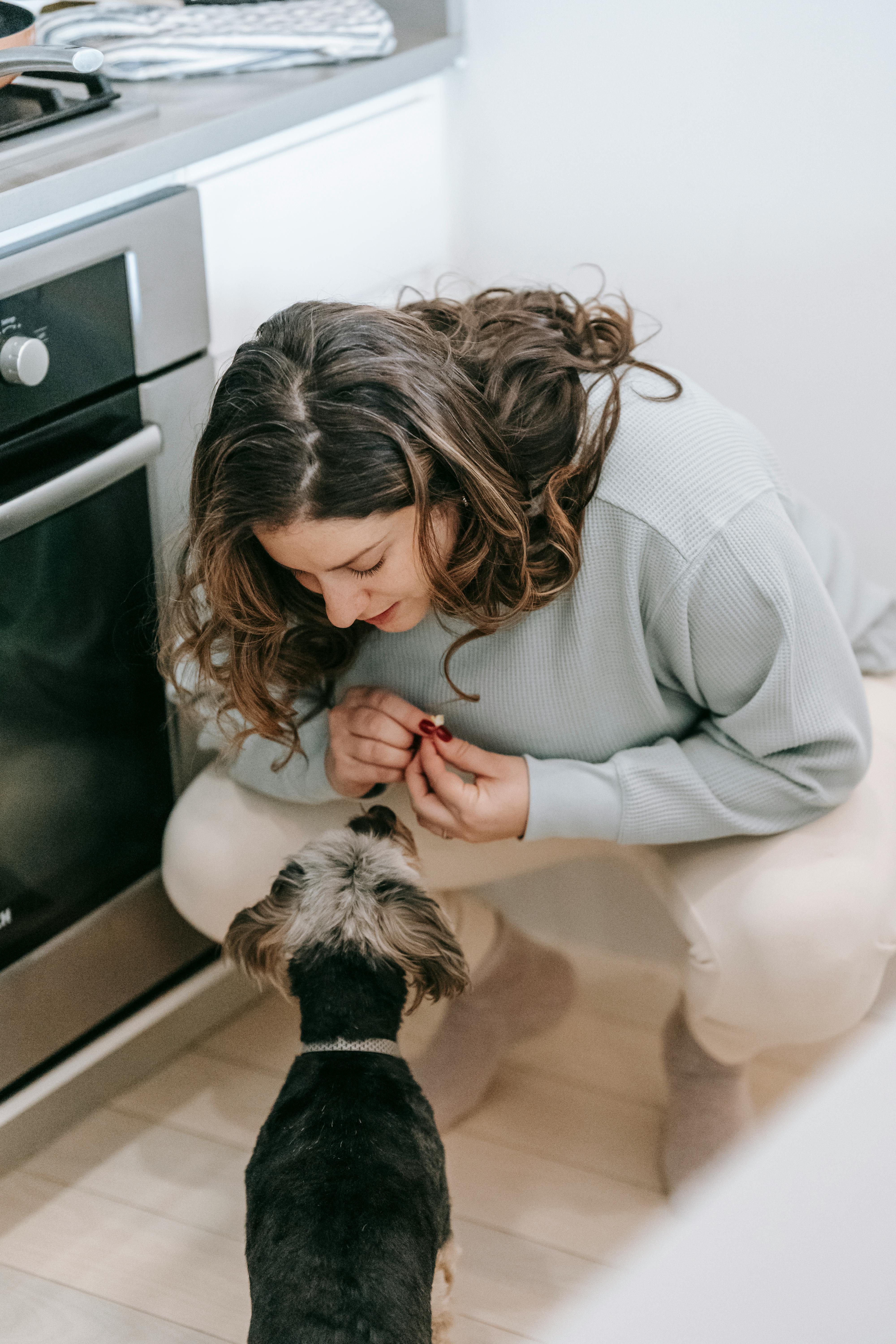 a person in their kitchen crouching beside their small dog with a treat in their hand
