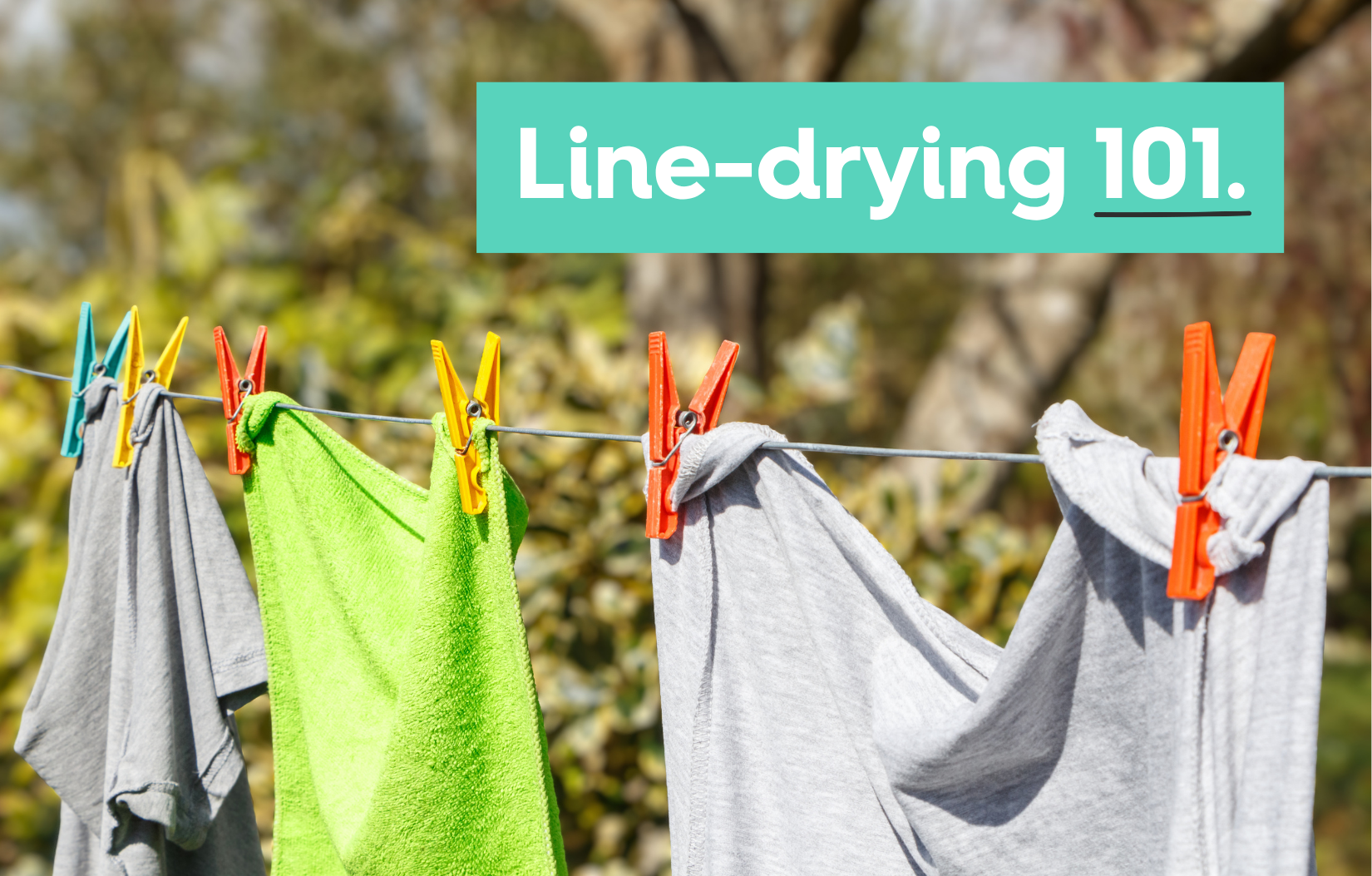 The Ultimate Guide to Line Drying Outdoors In ANY Weather.