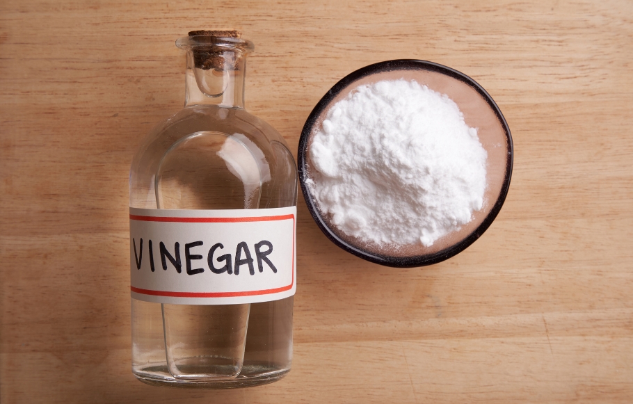 a glass bottle of white vinegar and a small pot of white bicarbonate of soda