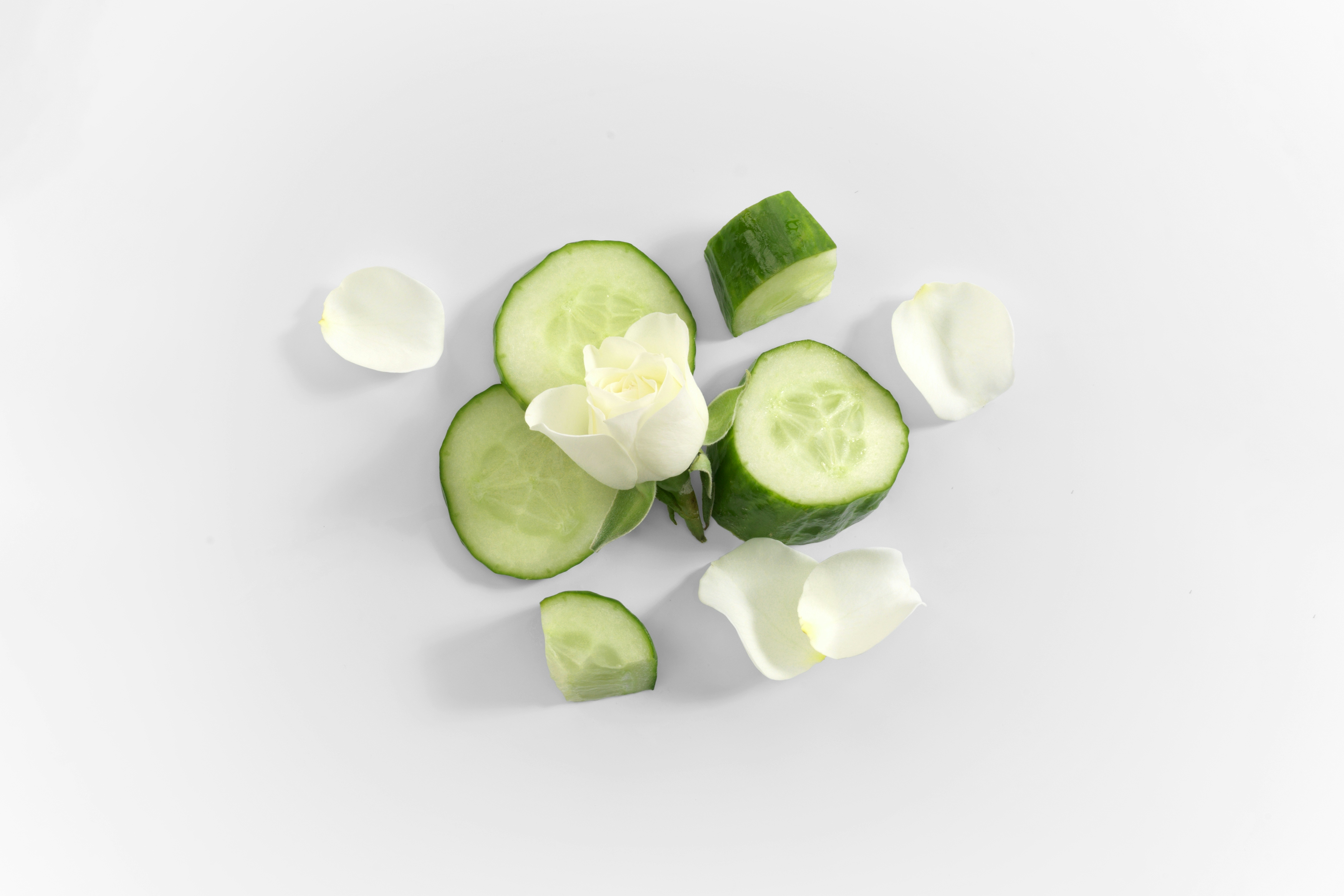 Overhead image cucumber slices and a white rose and rose petals